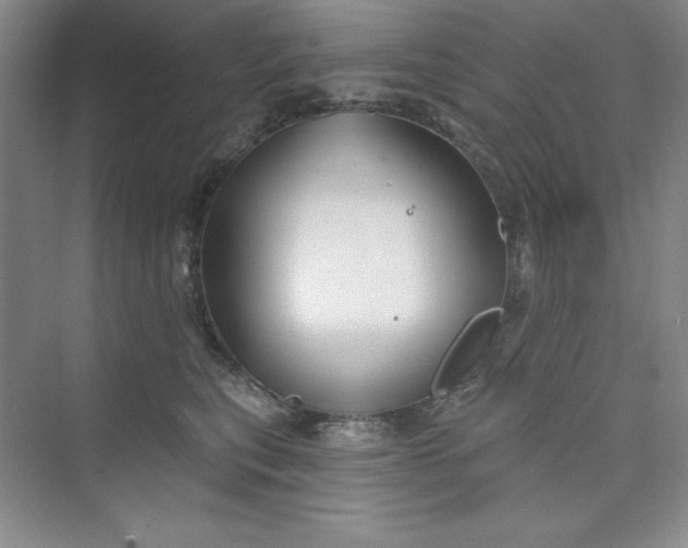 X0000075400567200609251021