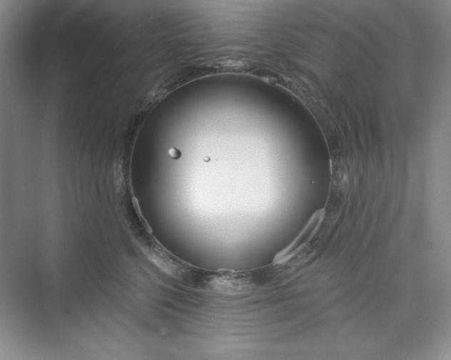 X0000075400568200609251021