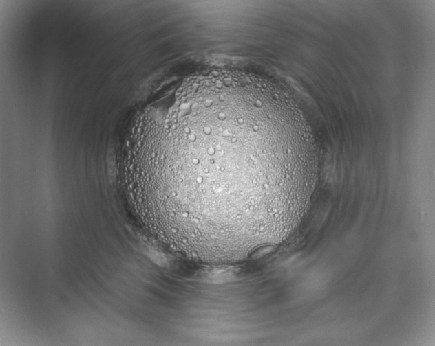 X0000075400569200609251021