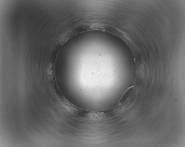 X0000075400571200609251021