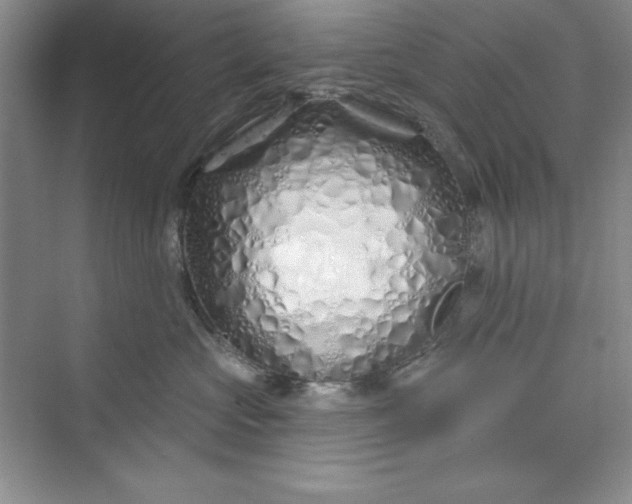 X0000075400573200609251021