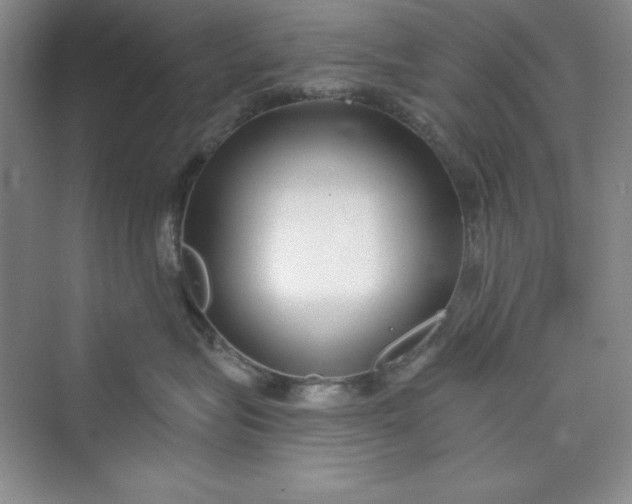 X0000075400575200609251021