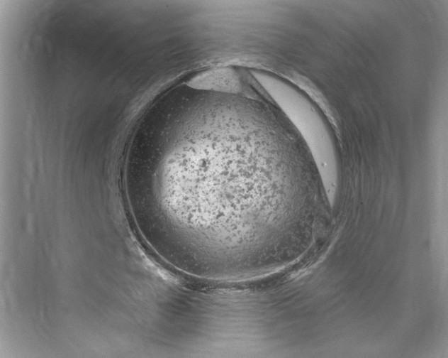 X0000075400577200609251021