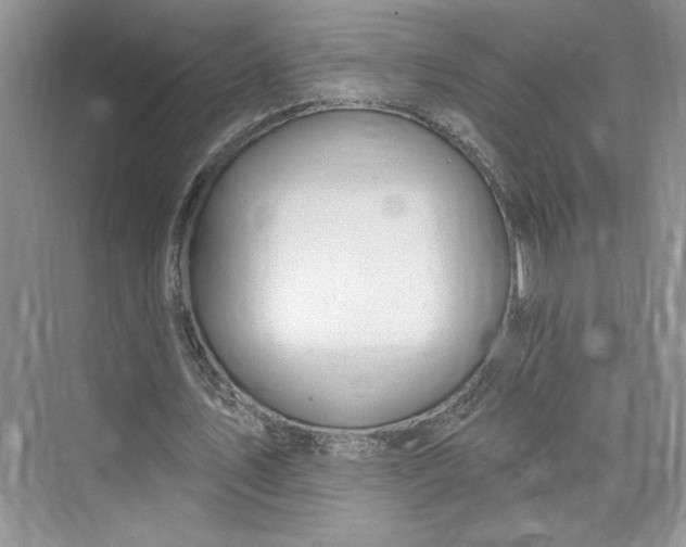 X0000075400579200609251021