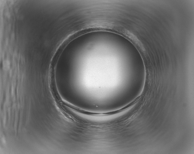 X0000075400580200609251021