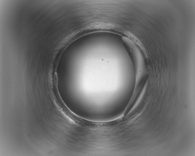 X0000075400581200609251021