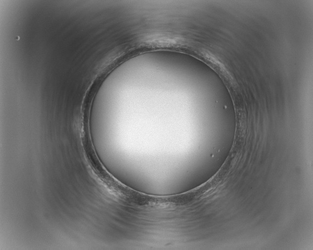 X0000075400582200609251020