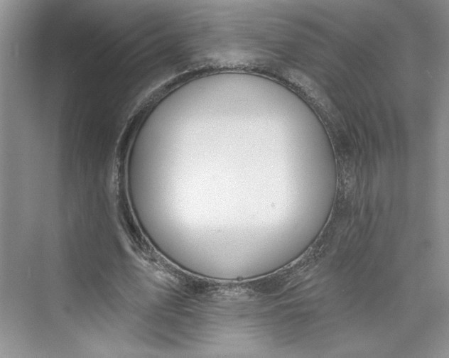 X0000075400583200609251020