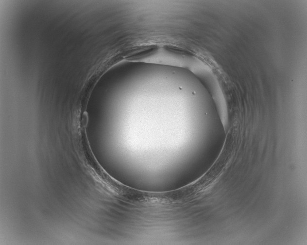 X0000075400585200609251020