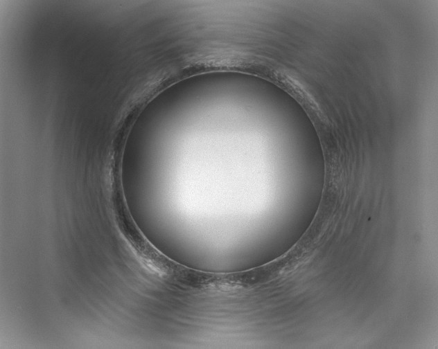 X0000075400586200609251020