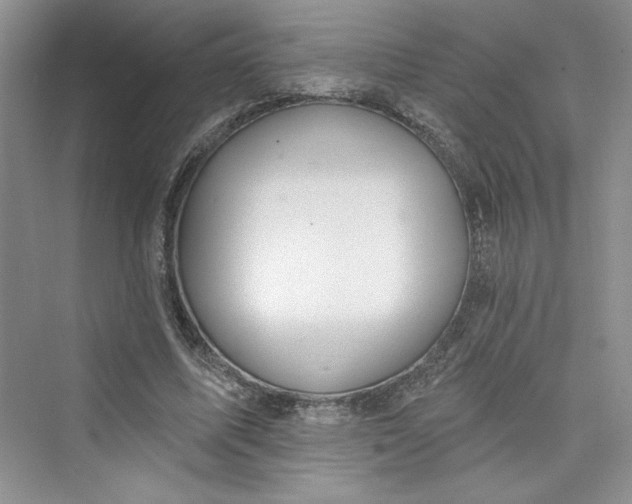 X0000075400587200609251020