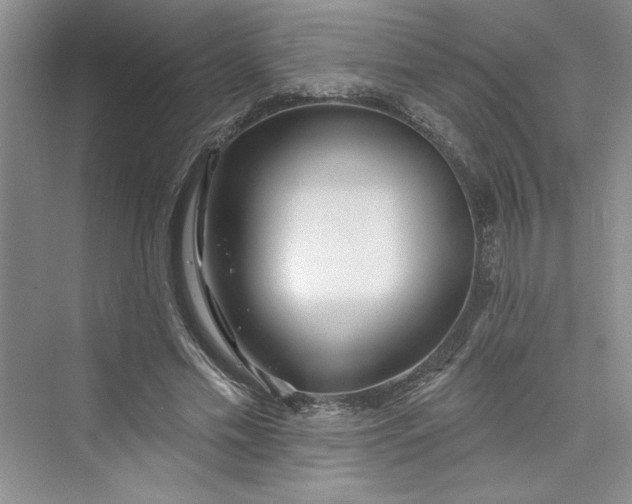 X0000075400589200609251020