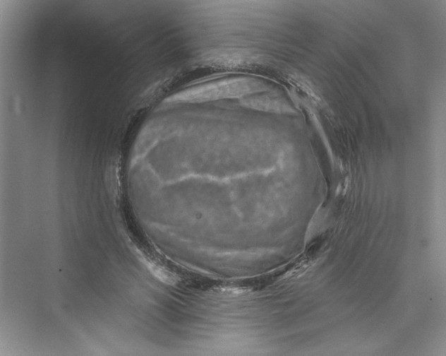 X0000075400590200609251020