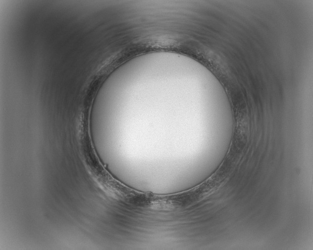 X0000075400591200609251020