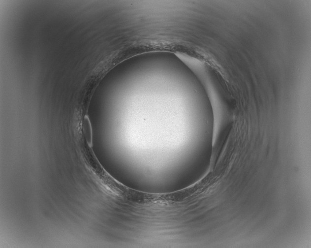 X0000075400593200609251020