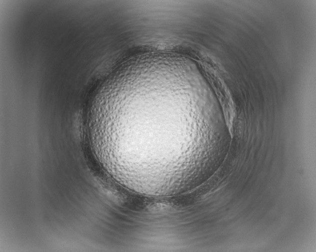 X0000075400594200609251020