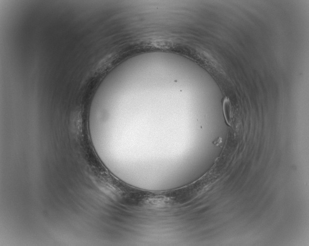 X0000075400595200609251020