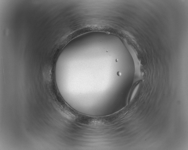 X0000075400596200609251020