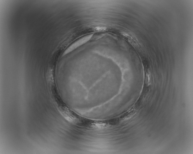 X0000075400598200609251020