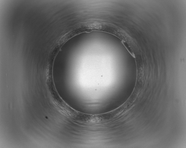 X0000075400600200609251020