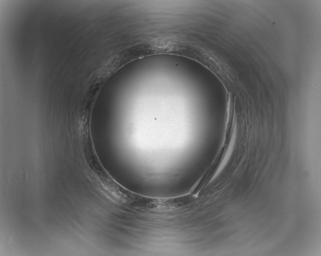 X0000075400601200609251020