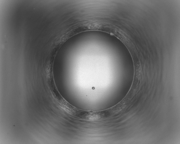 X0000075400604200609251020