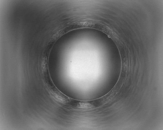 X0000075400605200609251020