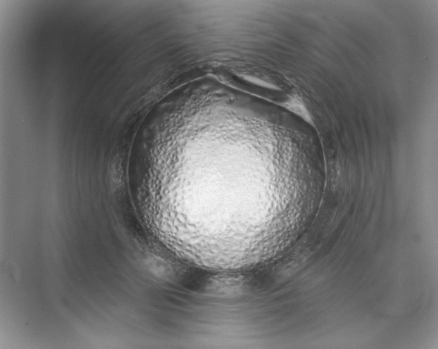 X0000075400606200609251020