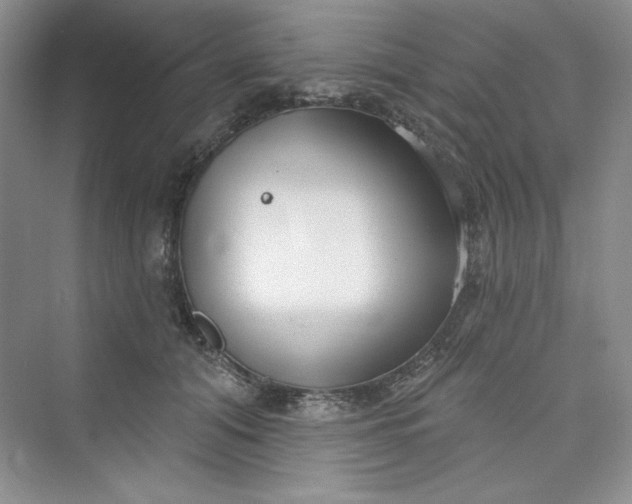 X0000075400608200609251020