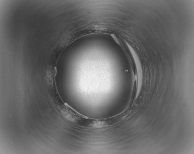 X0000075400609200609251020