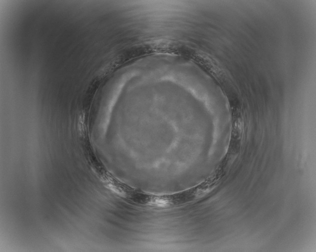 X0000075400610200609251020