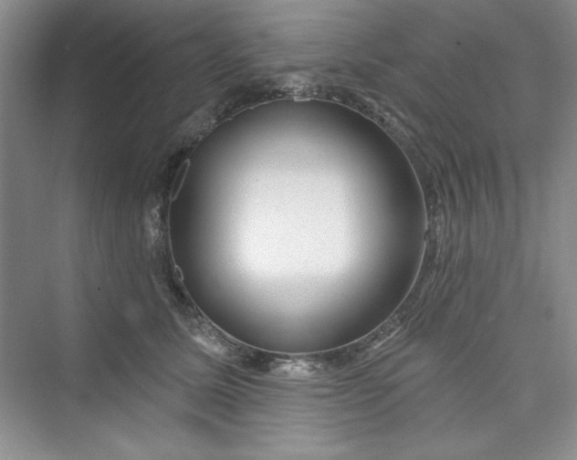 X0000075400611200609251020