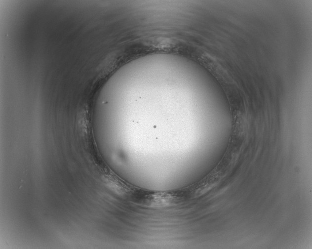 X0000075400612200609251020