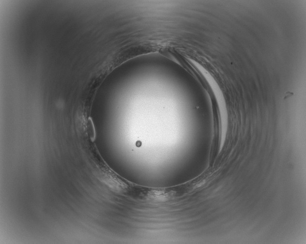 X0000075400613200609251020