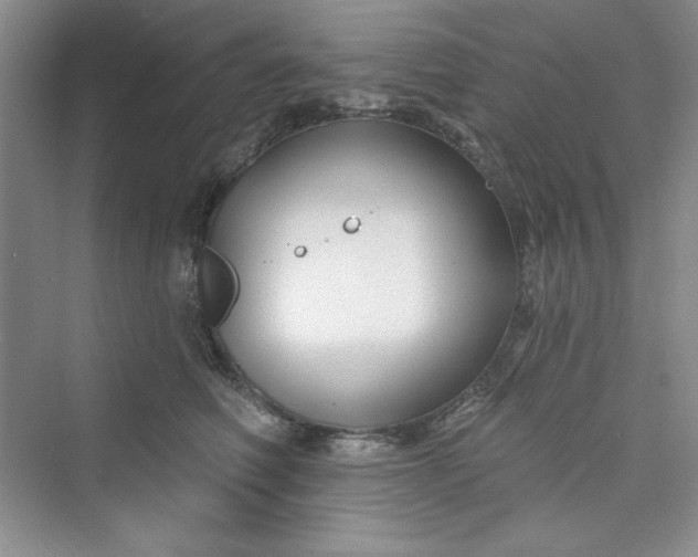 X0000075400614200609251020