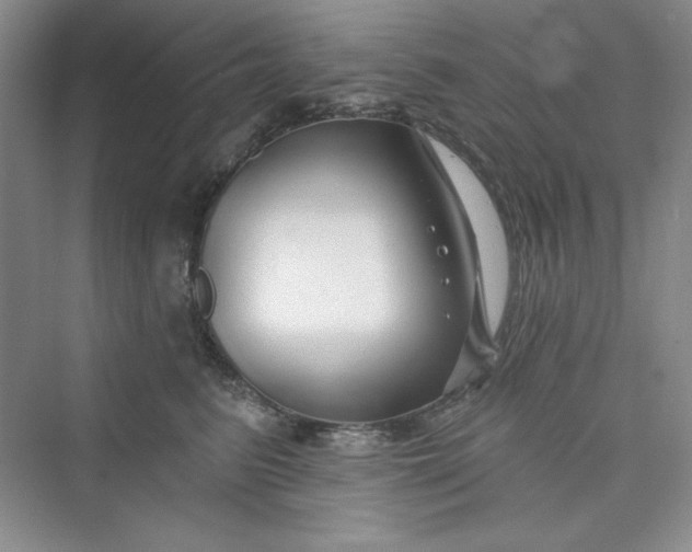 X0000075400615200609251020