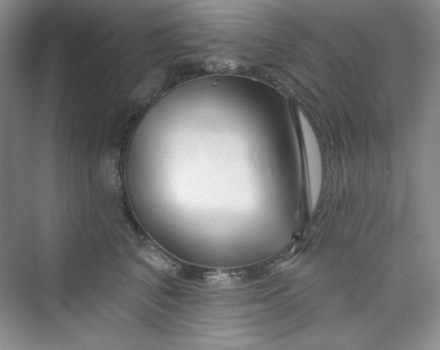 X0000075400616200609251020