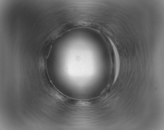 X0000075400617200609251020