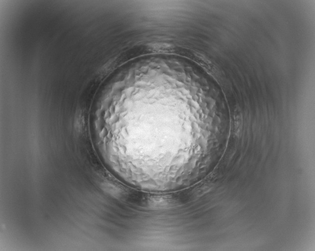 X0000075400618200609251020