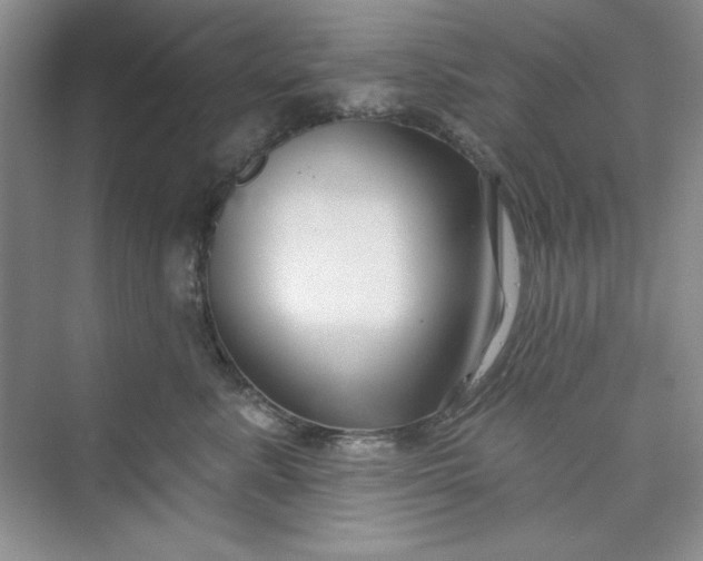 X0000075400619200609251020