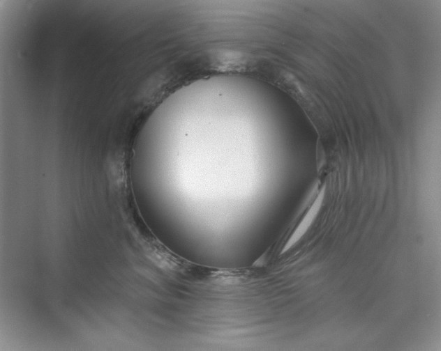 X0000075400620200609251020