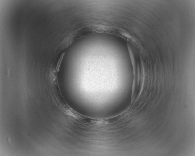 X0000075400621200609251020