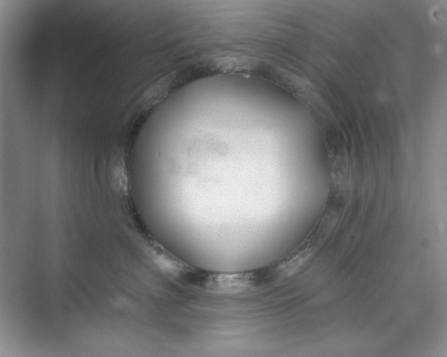 X0000075400622200609251020