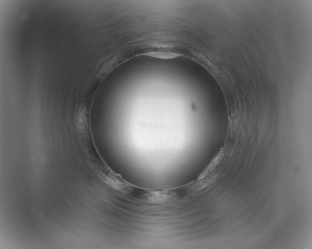 X0000075400623200609251020