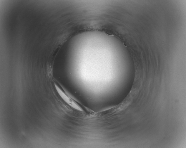 X0000075400624200609251020