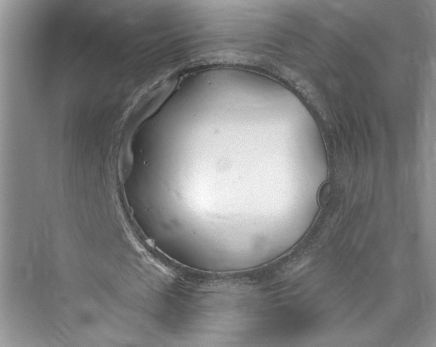 X0000075400625200609251019