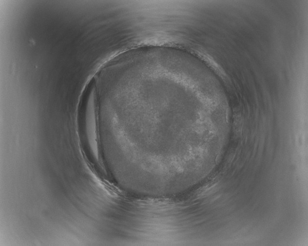 X0000075400626200609251019