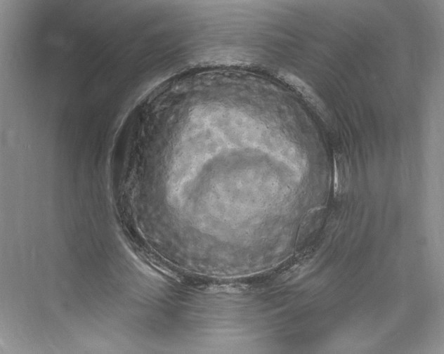 X0000075400627200609251019