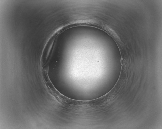 X0000075400628200609251019