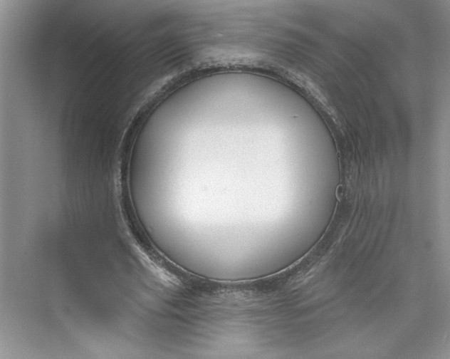 X0000075400629200609251019